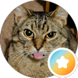 Profile photo of Traci Antee