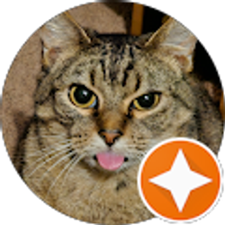 Profile photo of Traci Antee