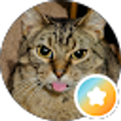 Profile photo of Traci Antee
