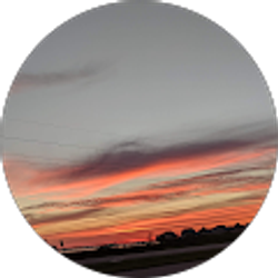 Profile photo of Patricia C