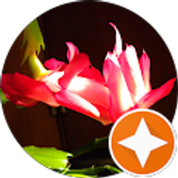 Profile photo of evelyn hammond