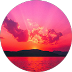 Profile photo of Camille Howell