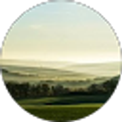 Profile photo of Zay