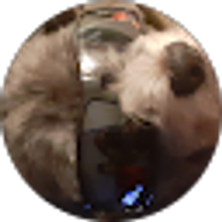 Profile photo of Bryan2368 Vivar