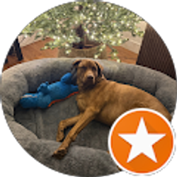 Profile photo of B C