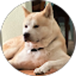 Profile photo of Michael Martin