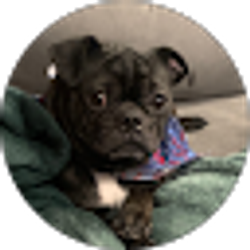 Profile photo of Gavin Tester (Gaviti)