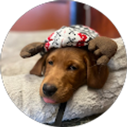 Profile photo of Adobi Lintz