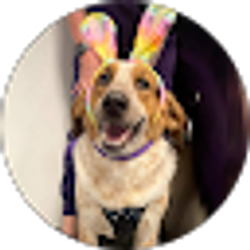 Profile photo of Brandi Todd