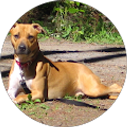 Profile photo of latham area