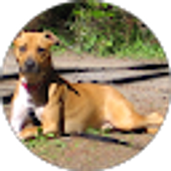 Profile photo of latham area