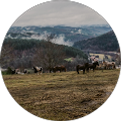 Profile photo of Mark Hutson