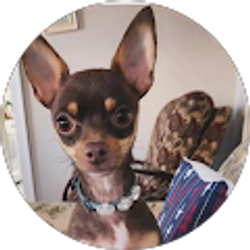Profile photo of margarita hernandez