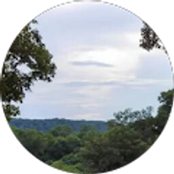 Profile photo of Jack Tenney