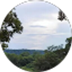 Profile photo of Jack Tenney