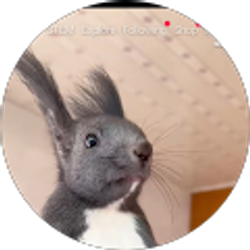 Profile photo of Benjamin Bange