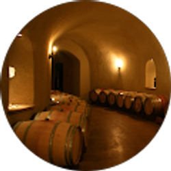 Profile photo of Eddie Lopez-Trigo