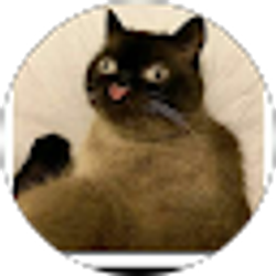 Profile photo of Alex Suarez