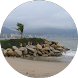 Profile photo of che 9