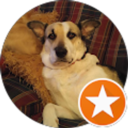 Profile photo of Chris Hamby