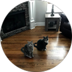 Profile photo of Sandra Carroll