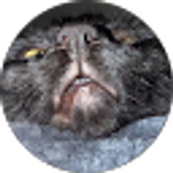 Profile photo of Isaiah Redd