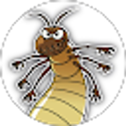 Profile photo of StupidTermite