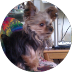 Profile photo of roger sithithum