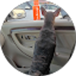 Profile photo of Sissy Mcvay