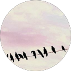 Profile photo of LovelyRouge Cosplayer (Matagorda Mermaid)