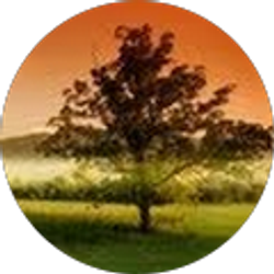 Profile photo of Latricia Banks