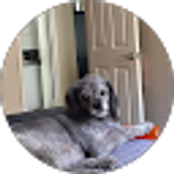 Profile photo of Jennifer