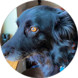 Profile photo of Julie Vosberg