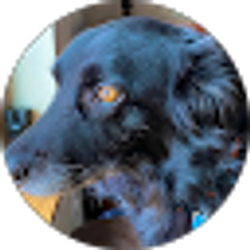 Profile photo of Julie Vosberg