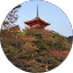 Profile photo of Kwan Lee