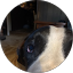 Profile photo of Daniel Martin