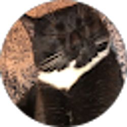 Profile photo of Alyssa Winders