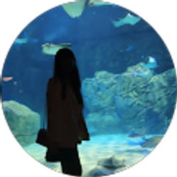 Profile photo of Jingyi Zhang