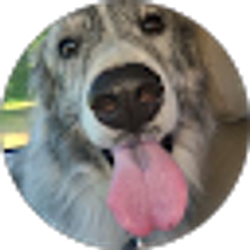 Profile photo of aaron vonholten