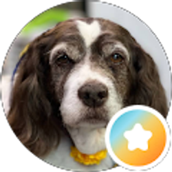 Profile photo of Mark Maggie May, JoJo