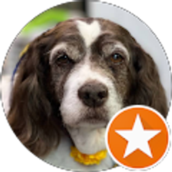 Profile photo of Mark Maggie May, JoJo