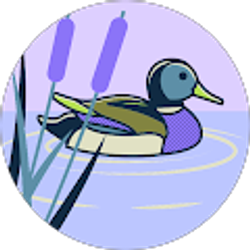 Profile photo of Tony Duckworth