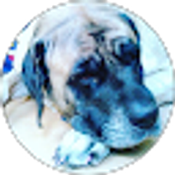 Profile photo of SHAYLA Lovett