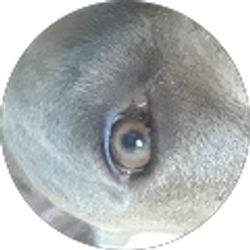 Profile photo of logan