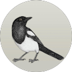 Profile photo of Maggie Rivera
