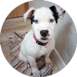 Profile photo of Elizabeth Leyva