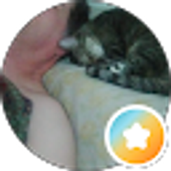 Profile photo of Brian Reese