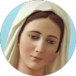 Profile photo of Darwin Sampedro