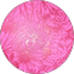 Profile photo of Kimberly Coleman