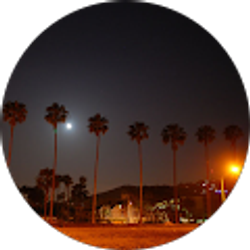Profile photo of Fillmore T